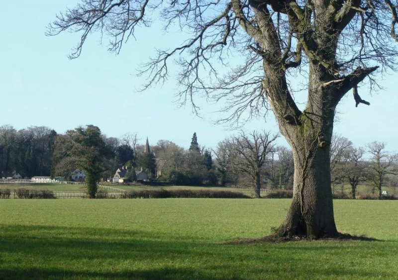EAST WOODLANDS  photo 3