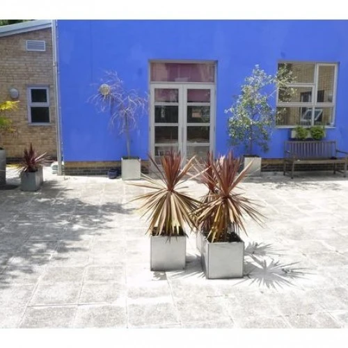 Threshold Centre photo 4