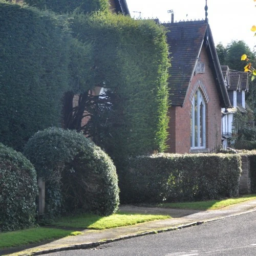 Rous Lench Village Hall photo 2