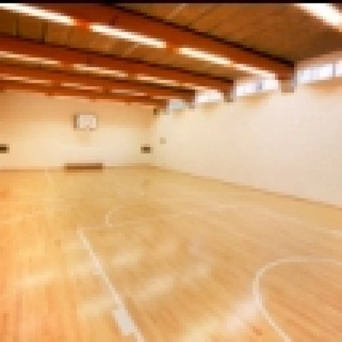 St Mary Islington Community Partnership photo 3