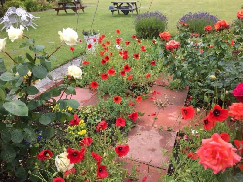 Hayling Island Royal British Legion Social Club photo 2