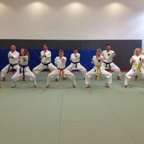 New Dojo photo 3