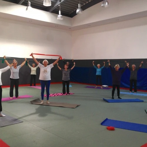 New Dojo photo 4