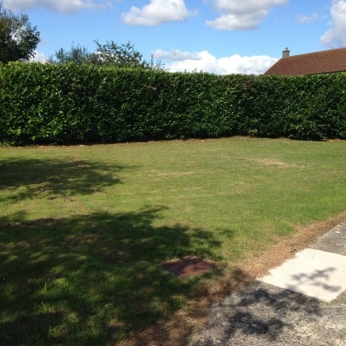 Ashill Village Hall photo 4