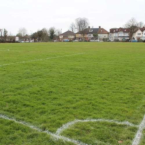 Wren Academy  photo 5