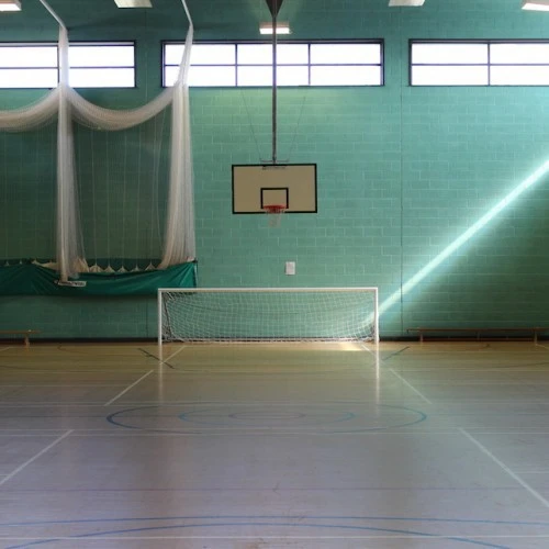 The Albion Academy photo 4