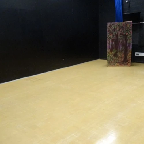Dance Drama Studios at Lea Valley School photo 3