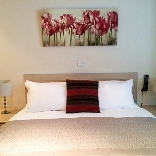 Thameside Hotel photo 5