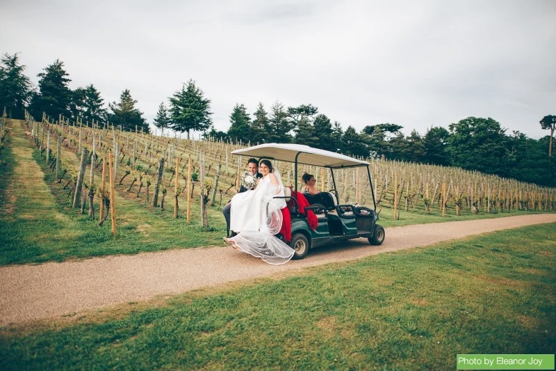 Weddings at Painshill Park photo 3
