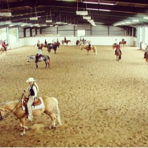 Horse Creek Farm Arena  photo 3
