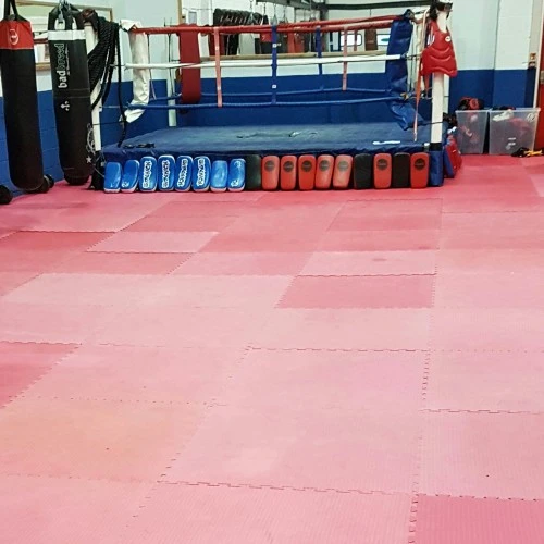 TKO kickboxing Academy  photo 2