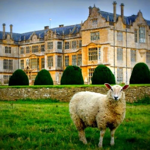 Montacute Village Hall photo 2