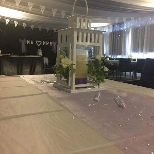 Far Moss Function Suite photo 2
