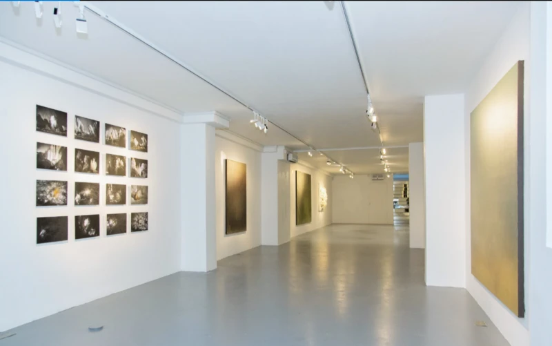 Amar Gallery photo 2