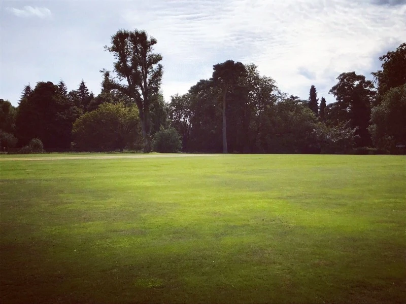 Chipstead Coulsdon & Walcountians Cricket Club photo 2