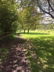 Kinver Sports and Community Association (KSCA) photo 3