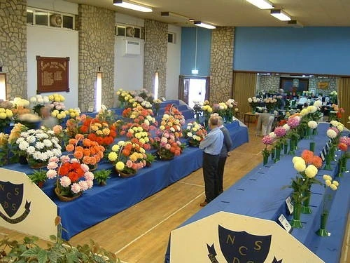 Conygre Hall - Timsbury photo 3