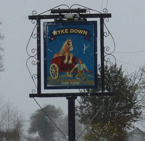 Wyke Down Country Pub photo 5