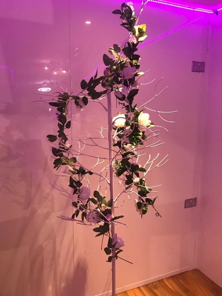 Weddings luxury Decor photo 2