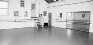 Kirkham henry performing Arts photo 2