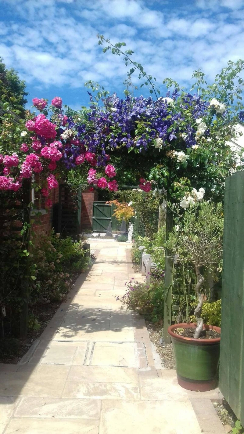 St.Peter's Community Hall & Gardens photo 4