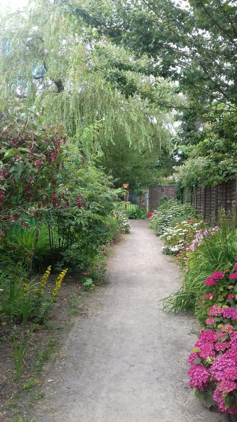St.Peter's Community Hall & Gardens photo 5