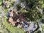 Thursley Village Hall photo 2