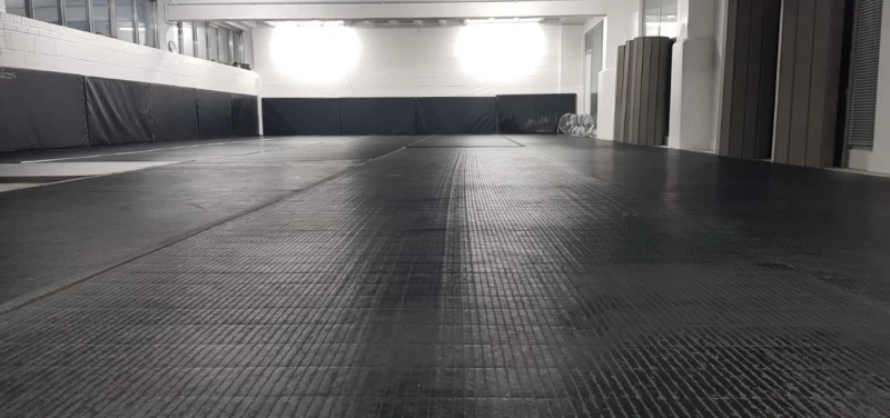 Large Yoga Room  photo 3