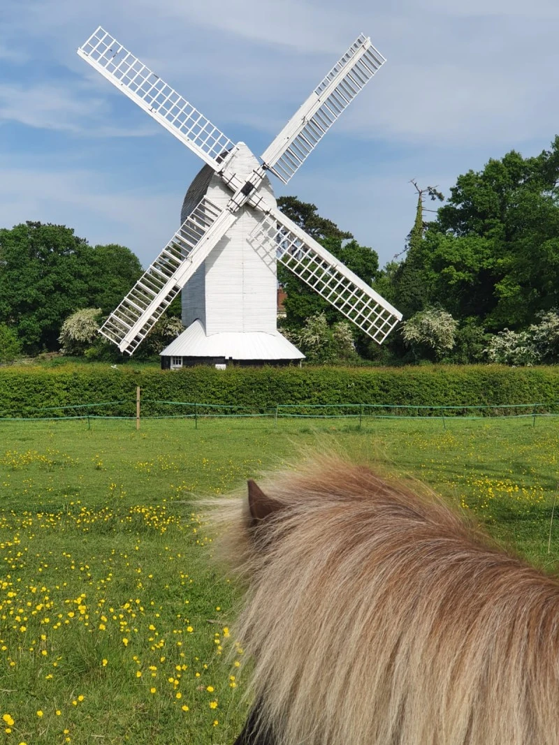 Lowfield Heath Windmill photo 2