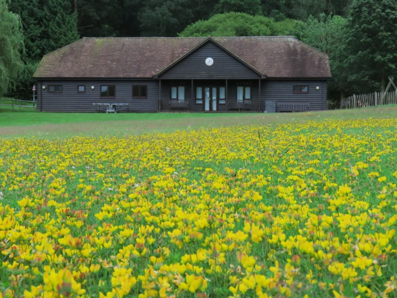 Hascombe photo 2