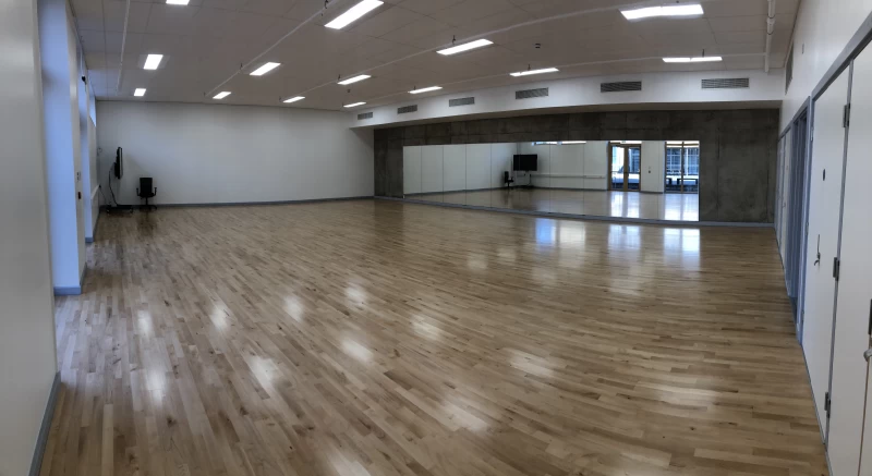 Harris Academy Sutton Dance Studio photo 2