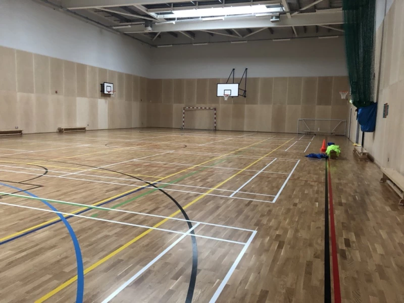 Harris Academy Clapham Sports Hall photo 4