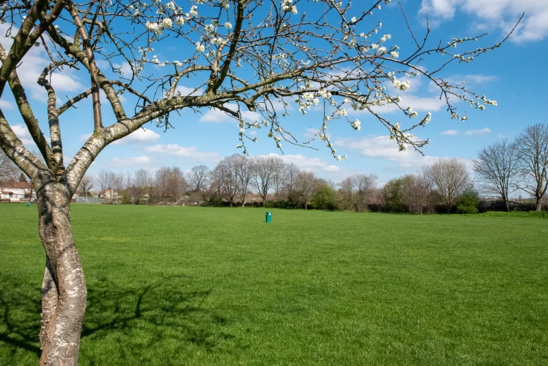 Hall Hire @ Galliard Primary School photo 4