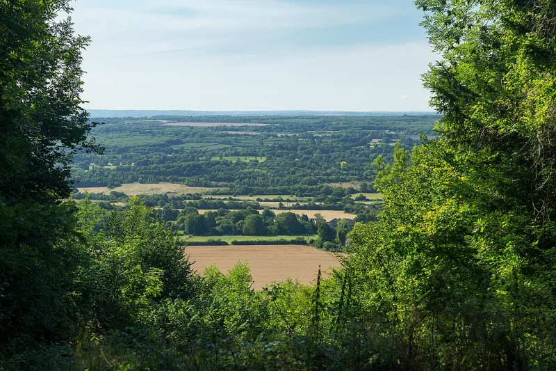 Trosley Country Park photo 4