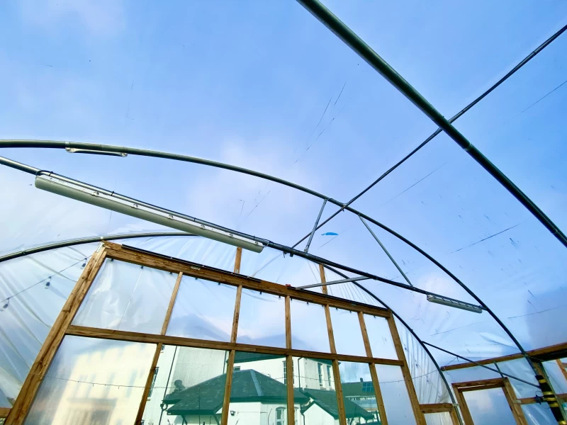 Llanrumney Hall - Outdoor Polytunnels photo 5