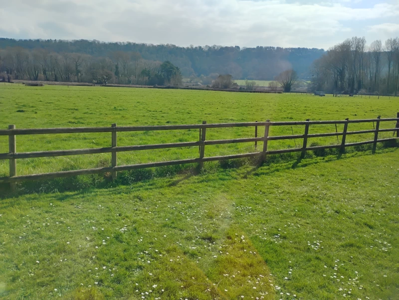 Walton in Gordano Village Hall photo 5