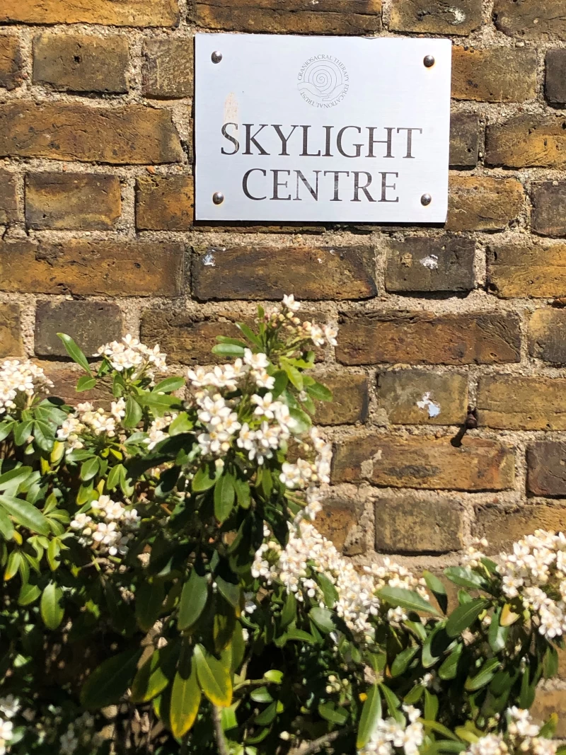 Skylight Centre photo 4