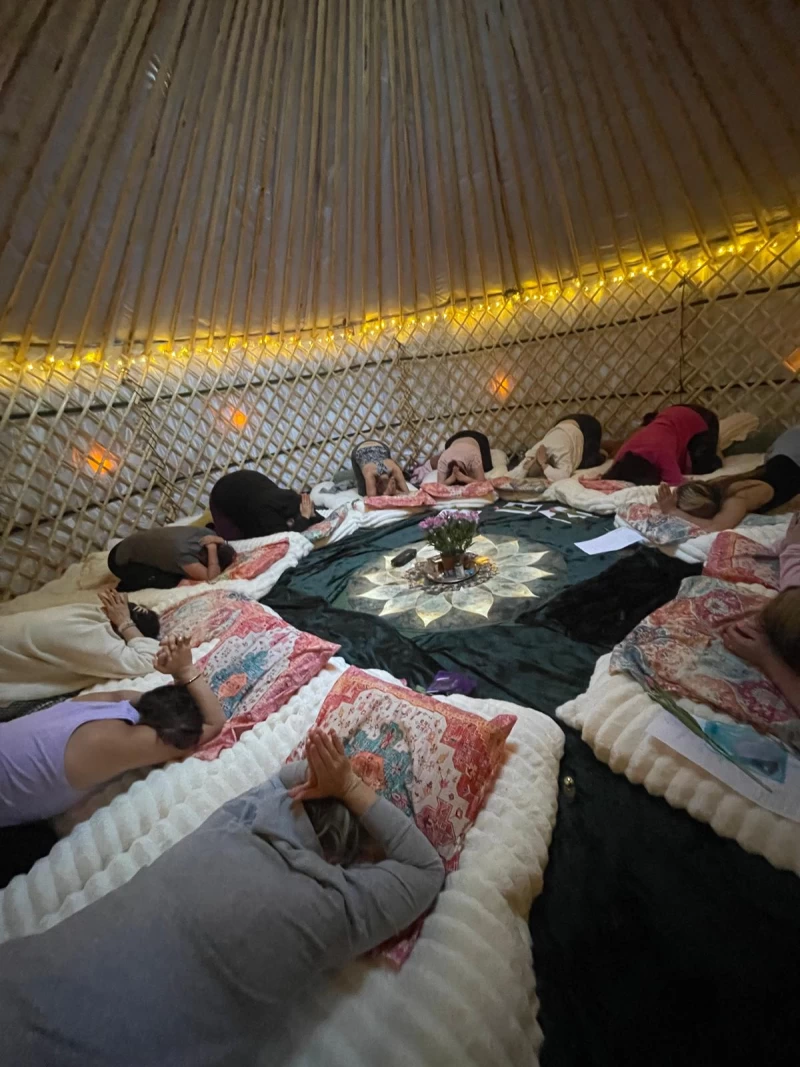  The Shiny Happy Yurt photo 3