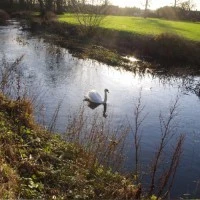 Swallowfield Village Hall Photo