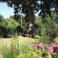 Waldringfield Village Hall  Photo