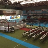 Action Indoor Sports Photo
