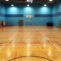 Sports Courts and Halls at Prendergast Vale School Photo
