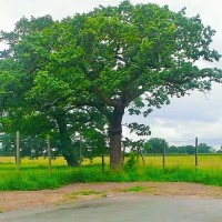 Worleston and District Village Hall Photo