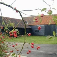 Thames Chase Barn Photo
