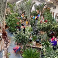 Urban Jungle Suffolk Photo