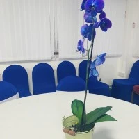 Ferdowsi Hall Photo