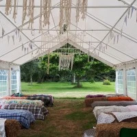 FIDDINGTON  Photo