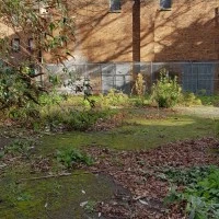 Hargrave Hall Community Centre Photo