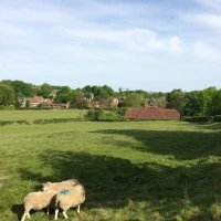 Petham Village Hall Photo