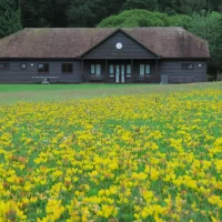 Hascombe Photo